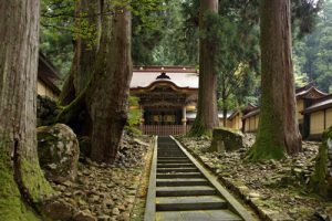 meditation doesn’t need a temple