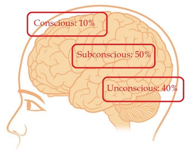 Unconscious forces were the main focus of personality